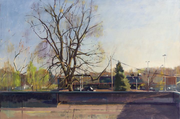 Kadys sycamore - Mark Ratzlaff