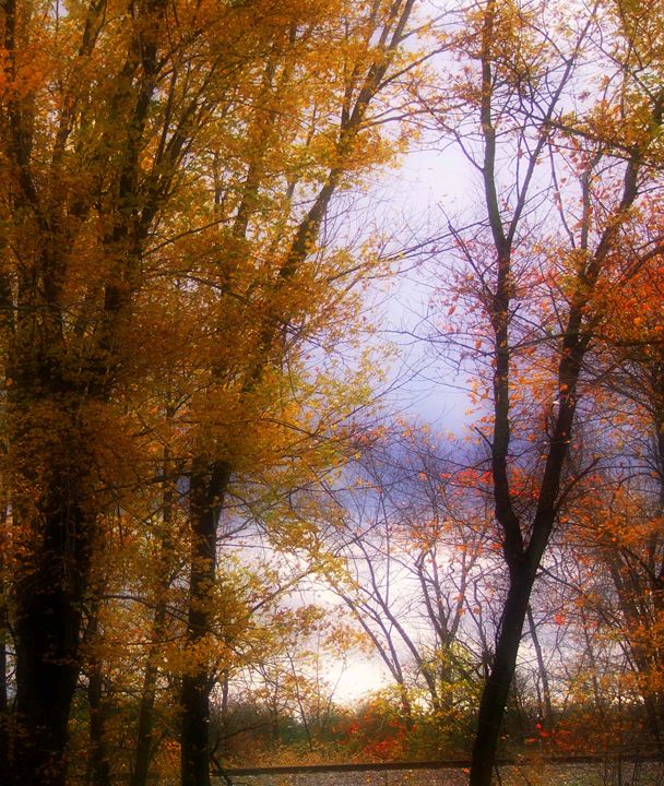 Pretty fall - Scott Bennett/Photoscapes Landscapes Ohio