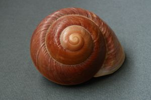 Helen Standing - Photography