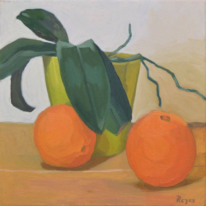 Plant and oranges - Miguel Reyes