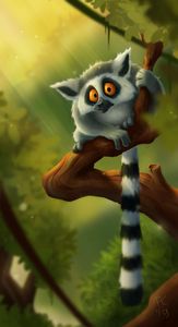 Ringtail lemur