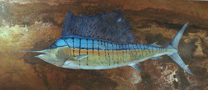 Pacific Sailfish - MyFishArt