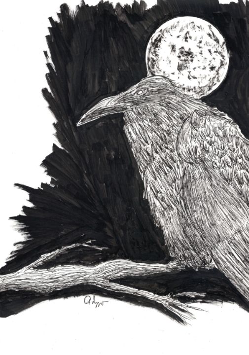 The Raven Pen and Ink - Izzo Artworks (Anthony Izzo) - Drawings &  Illustration, Animals, Birds, & Fish, Birds, Ravens & Crows - ArtPal