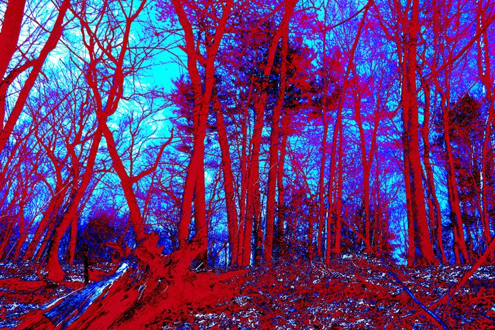 Lincoln Woods color value - My Soul ID Through Art