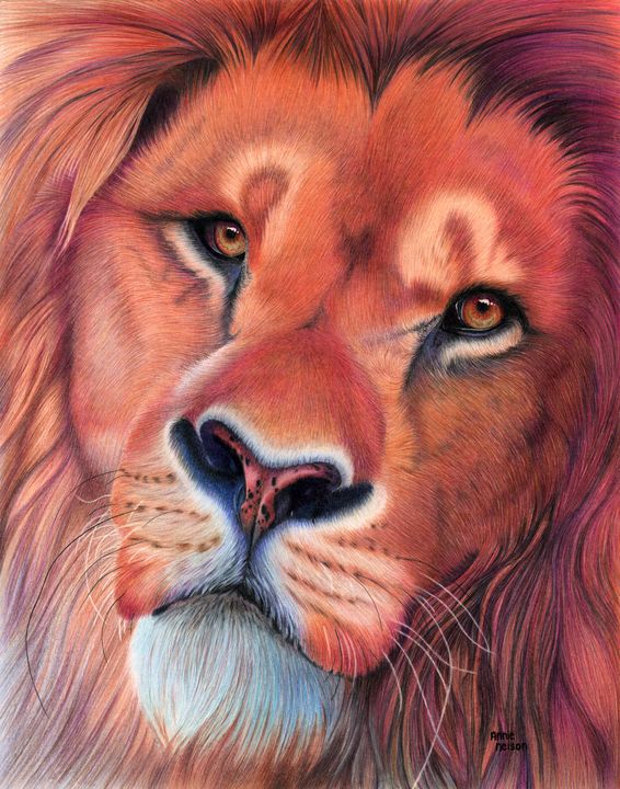 Lion - Annie's Colored Pencil Art - Paintings & Prints, Animals, Birds, &  Fish, Cats & Kittens, Other Cats & Kittens - ArtPal