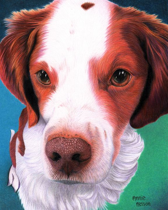 Brittney Spaniel orders colored pencil print