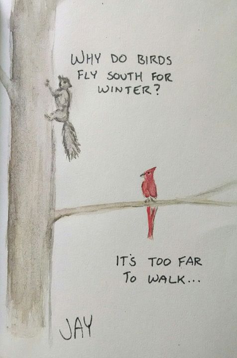 Squirrel and Cardinal joke - JAYartwork