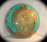 Ocean Drum Turtle