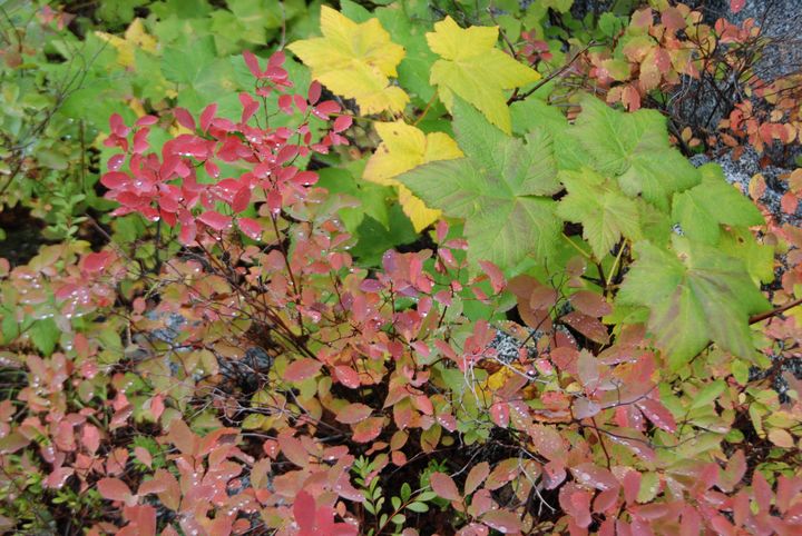 Autumn's Palette - Wend Images Gallery