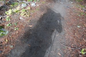 Shadow of a Backpacker