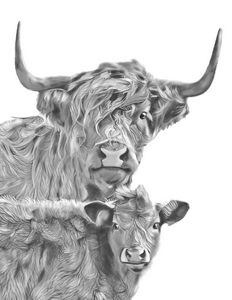 Long Haired Cow And Calf Pink Tomahto Art Studio Digital Art
