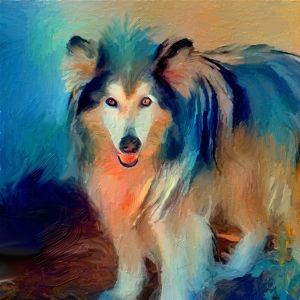 Colorful Collie