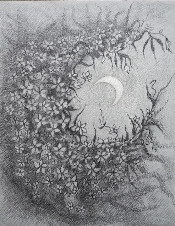 moon pencil drawing