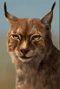 Wild Lynx