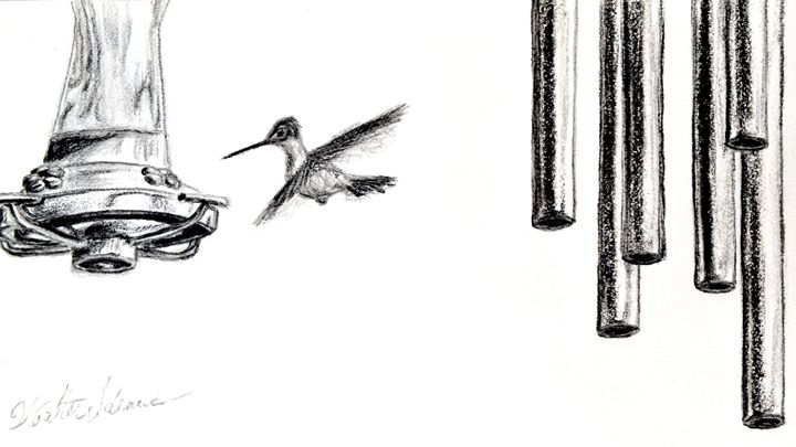 Hummingbird Art Of Walter James Idema Drawings Illustration