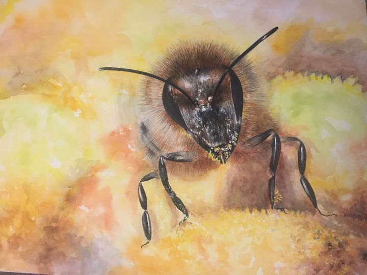 North American Honey Bee - Carol Montoya Artworks