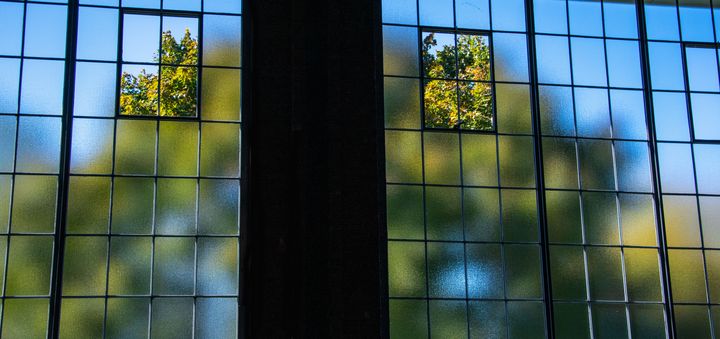 Can't see the forest for the windows - Brodoc Photography - Photography ...