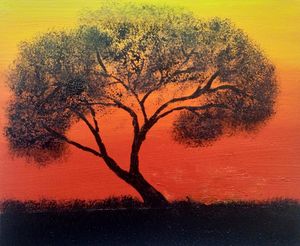 Tree with sunset