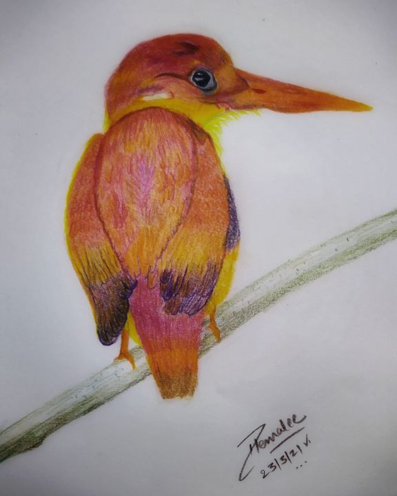 Color pencil art - Hems - Drawings & Illustration, Animals, Birds