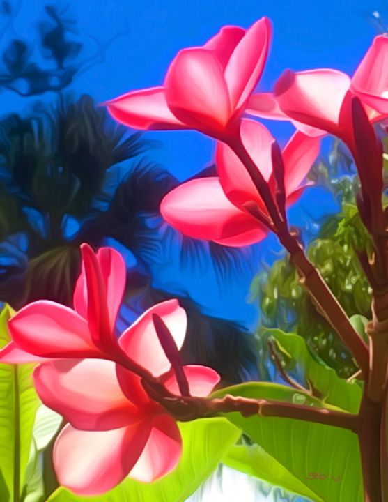 Queen Emma's Garden Plumeria Aina Kauai Arts/ Schar Freeman Digital