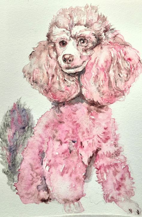 pink standard poodles