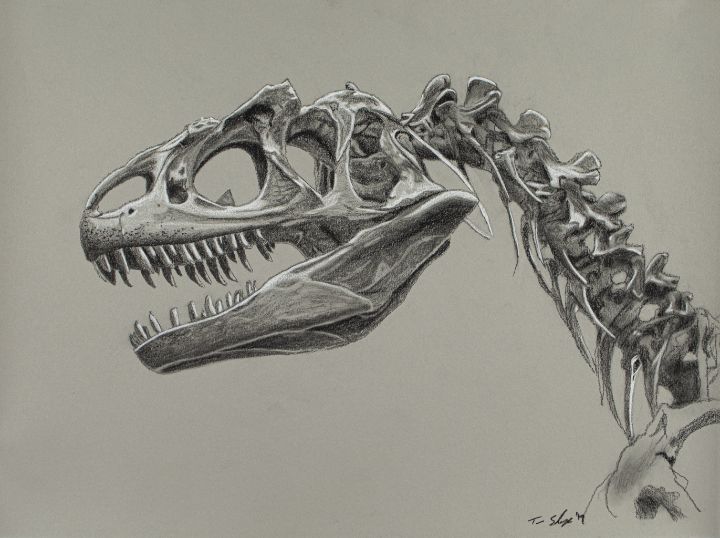 Black Dinosaur Skull Dinosaur Drawing Skull Drawing Dinosaur Sketch PNG  Transparent Clipart Image and PSD File for Free Download