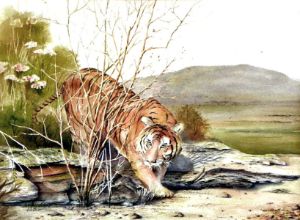 Stalking Tiger - crtowerart