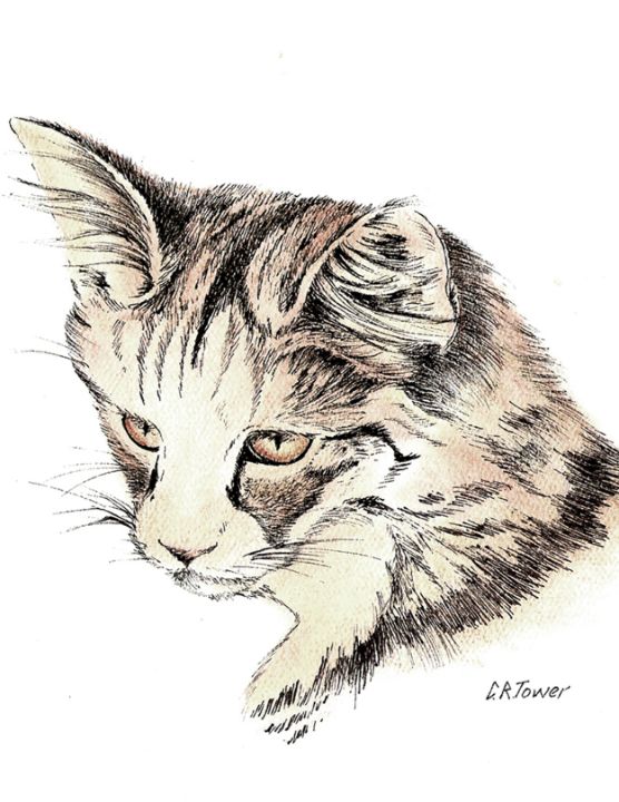Fineline India ink pet cat - crtowerart