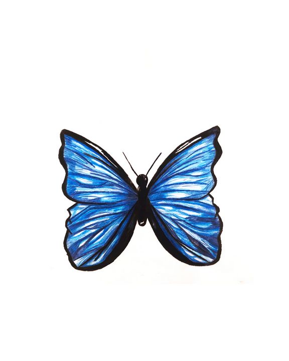 Easy Pencil Drawing Of Beautiful Butterflies | Pencil drawings, Pencil  drawings easy, Butterfly drawing