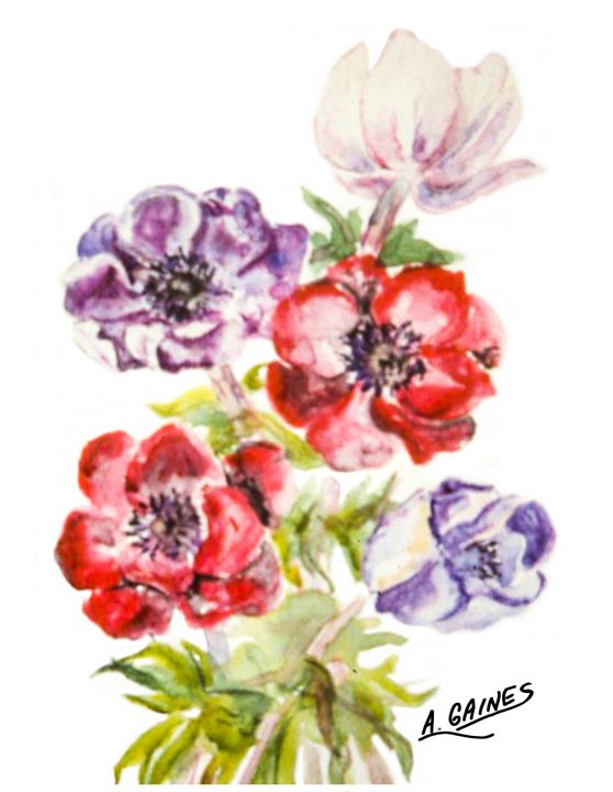 Watercolor flowers, Spring Blossoms - Shining Light Gallery