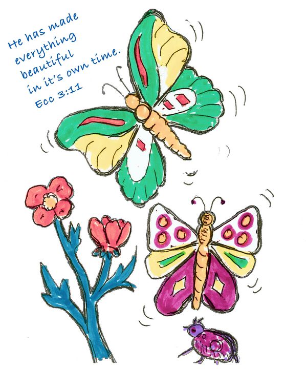 Butterflies marker illustration - Shining Light Gallery