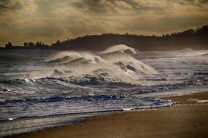 Waves at Reid