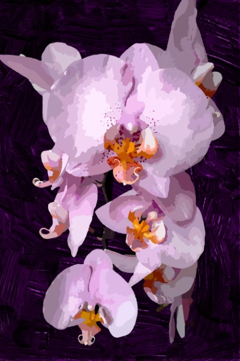 Digital Print. Orchid flowers - VikArtStudio - Digital Art