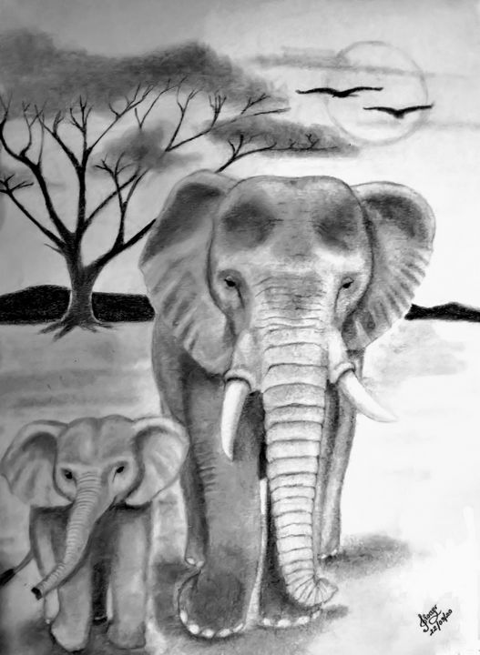 Elephants - Roger Mendonca