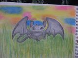 Toothless in a Field