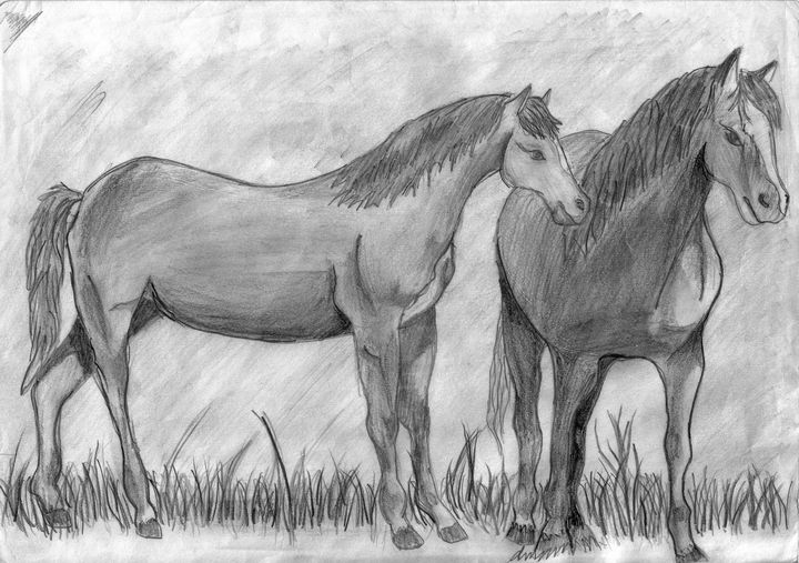 Two horses - hany Gallery
