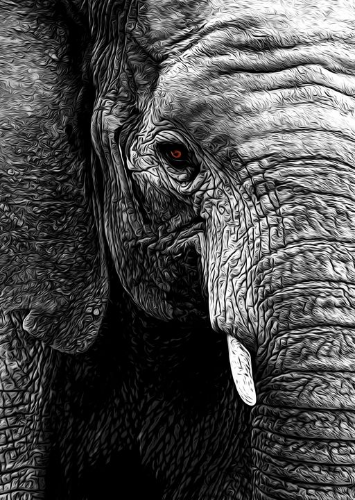 Elephant Head illustration - Gem Photography