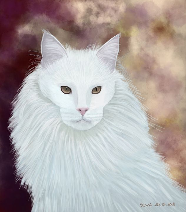 Snowball Cat ubicaciondepersonas.cdmx.gob.mx