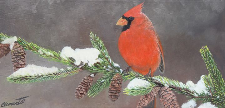 Cardinal on a snowy branch - Barbara Clements Fine Art