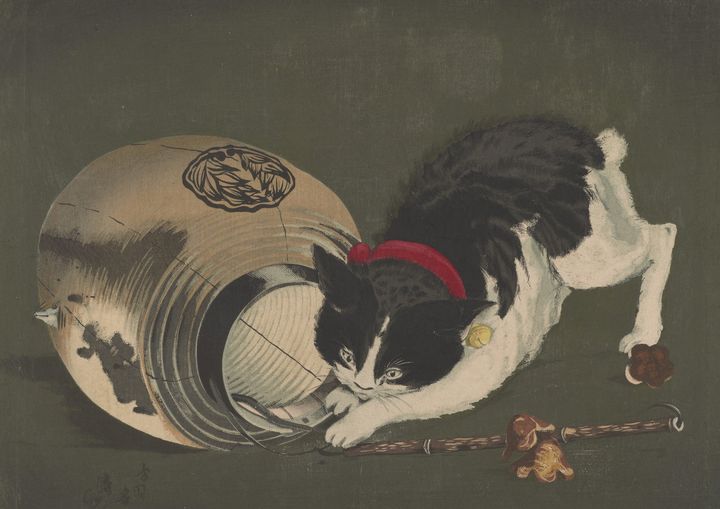 Kobayashi Kiyochika~Cat with lantern - Artmaster - Paintings
