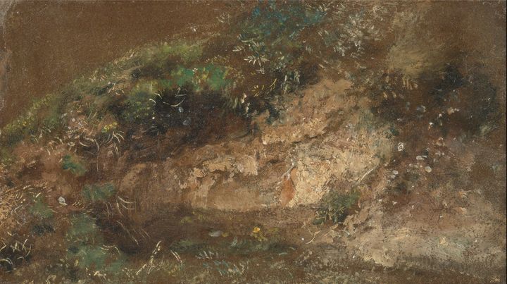John Constable~Undergrowth - Artmaster