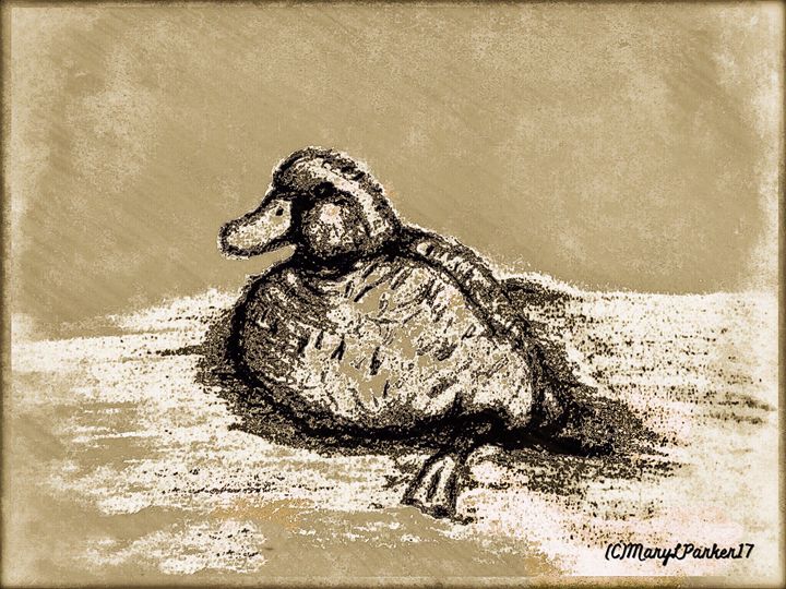 Duck bird swimming in the lake. Ink black and white drawing Stock Photo -  Alamy