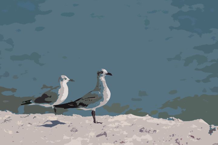 Seagulls - Daniel Moore