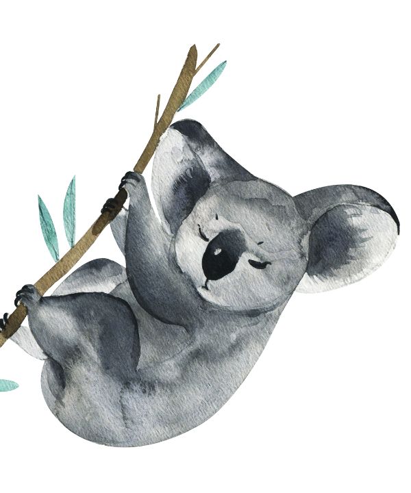 Illustration Koala bear watercolor image