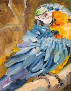Parrot washing - Luda Angel