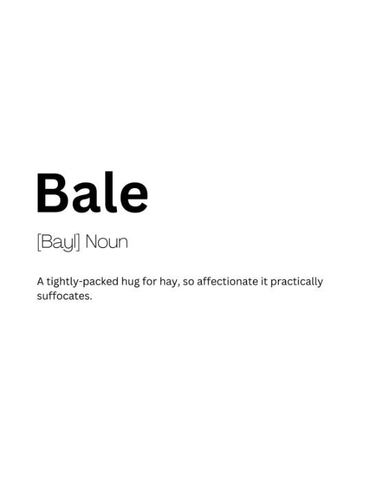 Bale Dictionary Definition - Kaigozen2 - Digital Art & AI, Humor ...