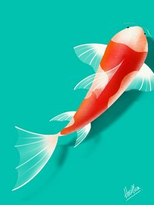 Wire Fish - Digital Paintings and Drawings - Digital Art, Animals, Birds, &  Fish, Aquatic Life, Fish, Freshwater Fish - ArtPal