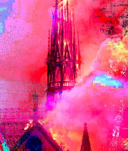 Finding Beauty Within Chaos