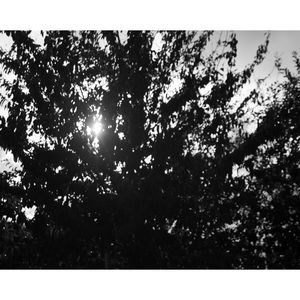 Breaking Through