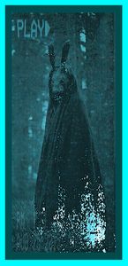 Into the Woods (2019)